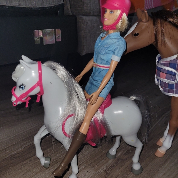 Fashion Barbie Doll with Horse Set - Blue and Pink - Picture 4 of 5